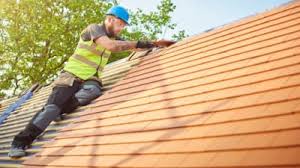Best Sheet Metal Roofing  in Trenton, FL