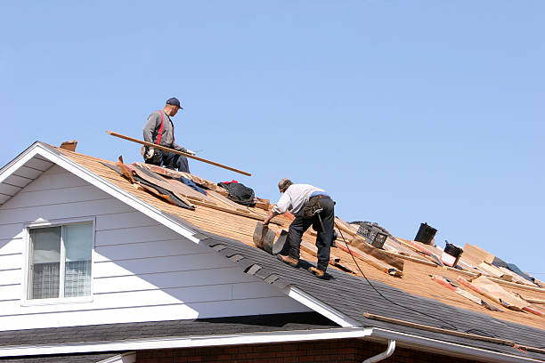 Best Chimney Flashing Repair  in Trenton, FL
