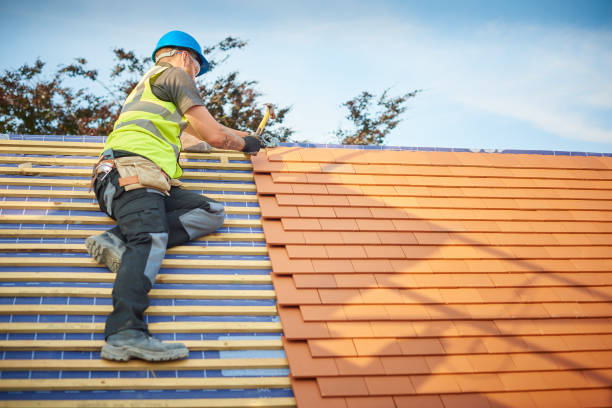 Best Gutter Installation and Repair  in Trenton, FL